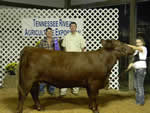 2011 Delta Fair Junior Show